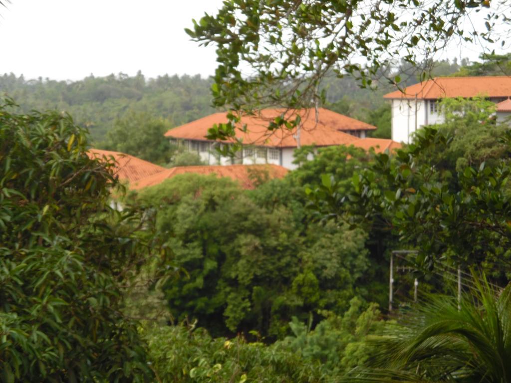 Mount View Villa Resort Mirissa Eksteriør bilde