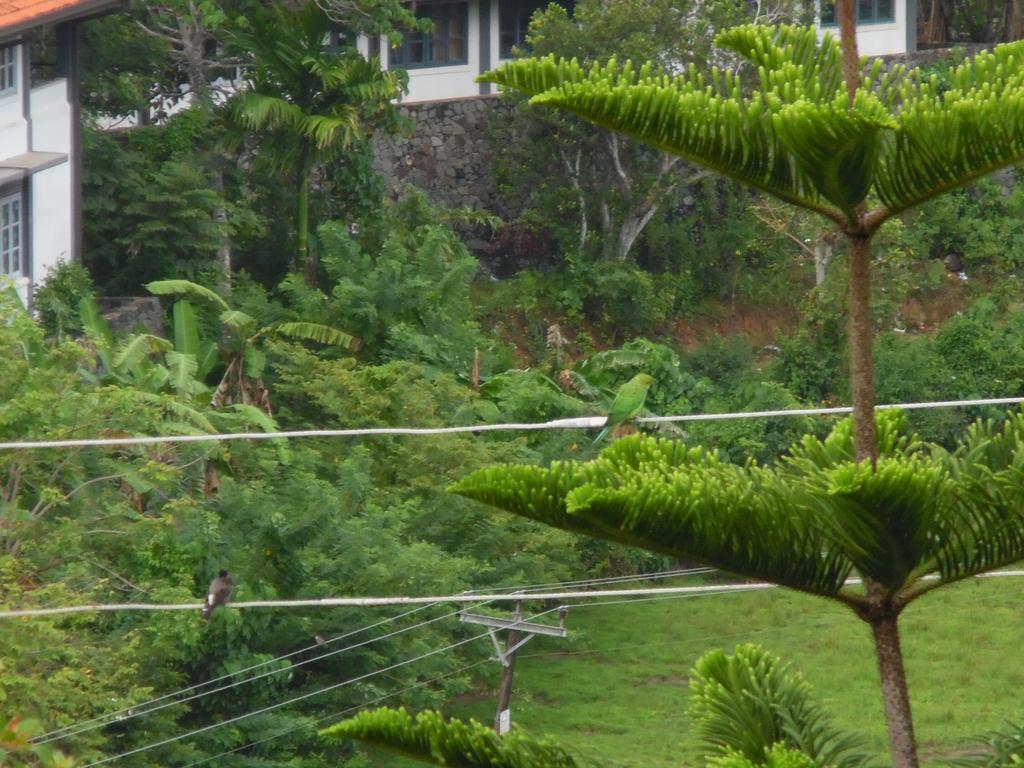 Mount View Villa Resort Mirissa Eksteriør bilde